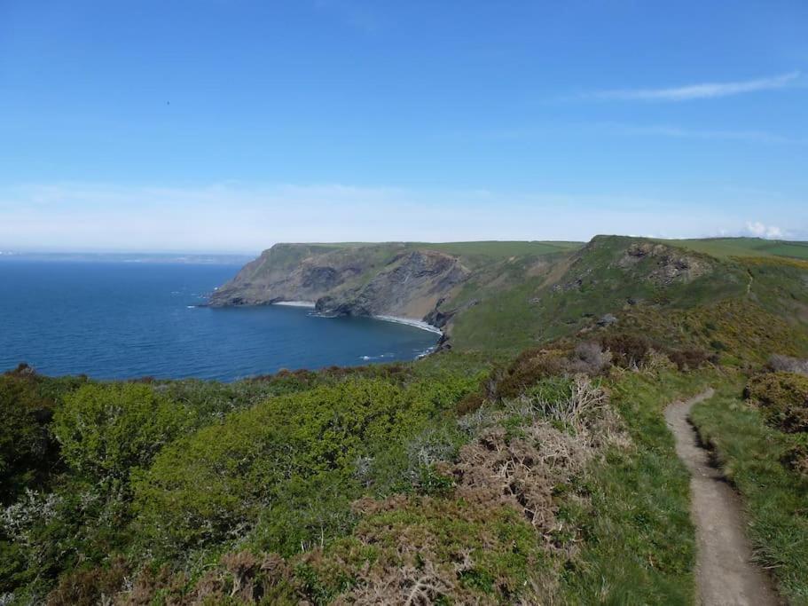 Lower Tresmorn Farmhouse Crackington Haven Luaran gambar