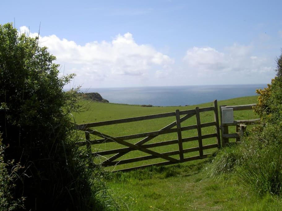Lower Tresmorn Farmhouse Crackington Haven Luaran gambar